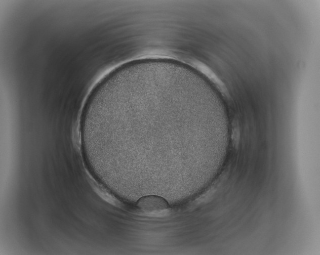 X0000112471372200909141110