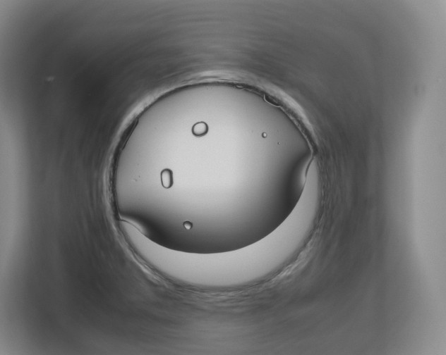 X0000112471373200909141110