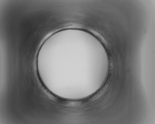 X0000112471375200909141110