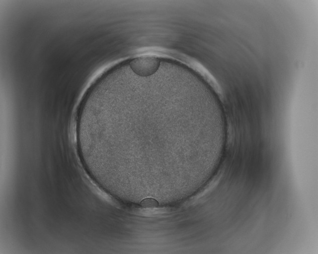 X0000112471376200909141110