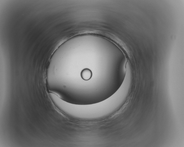 X0000112471377200909141110