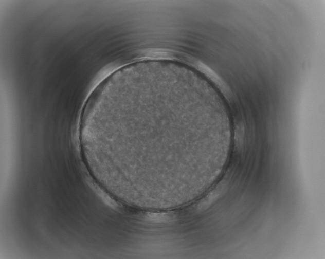 X0000112471378200909141110