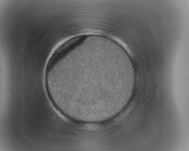 X0000112471379200909141110