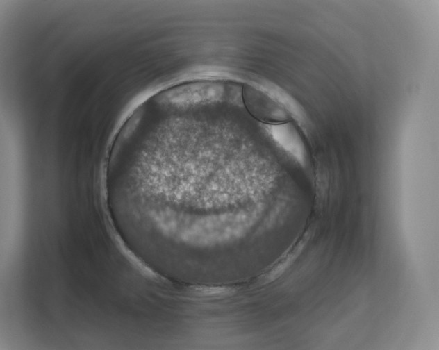 X0000112471382200909141110