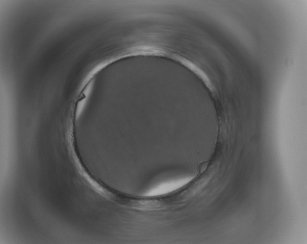 X0000112471383200909141110