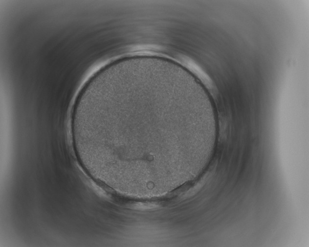 X0000112471384200909141110