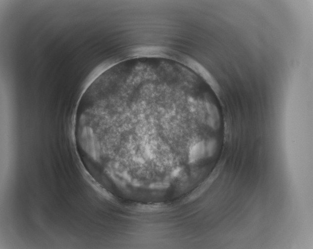 X0000112471386200909141109
