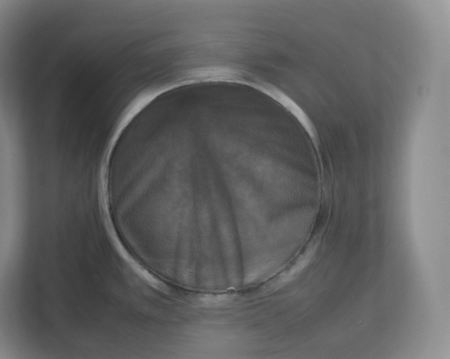 X0000112471389200909141109