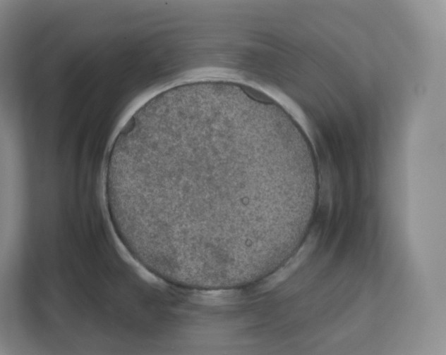 X0000112471390200909141109