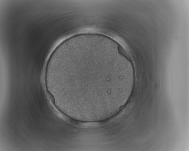 X0000112471392200909141109