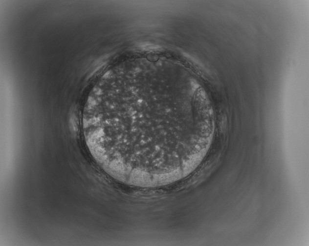 X0000112471397200909141109