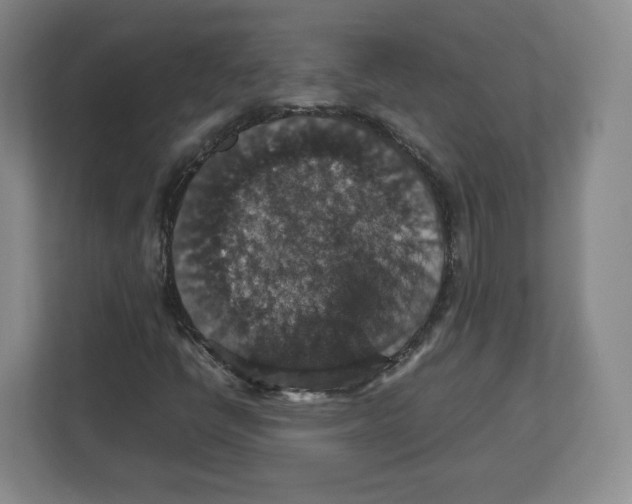 X0000112471398200909141109