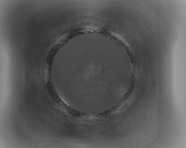 X0000112471399200909141109