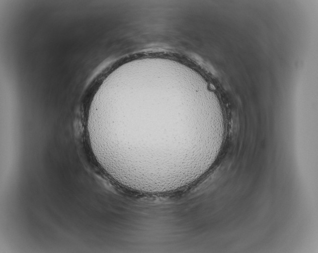 X0000112471400200909141109