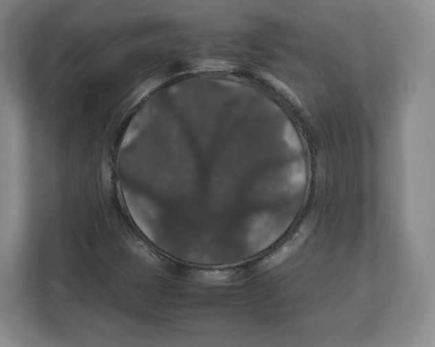 X0000112471401200909141109