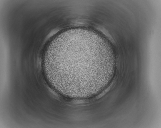 X0000112471402200909141109