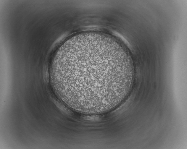 X0000112471403200909141109