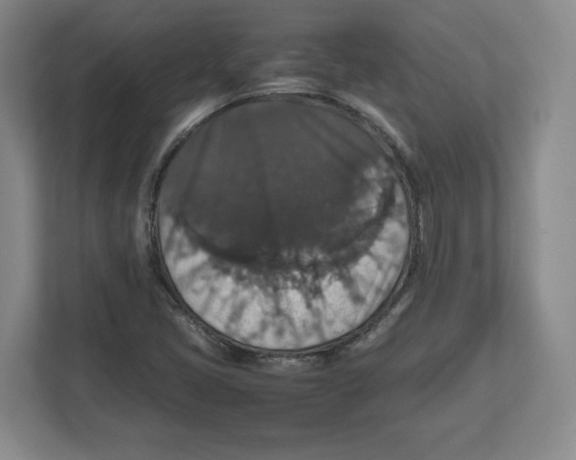 X0000112471405200909141109