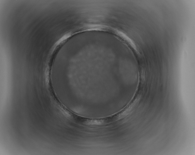 X0000112471411200909141109