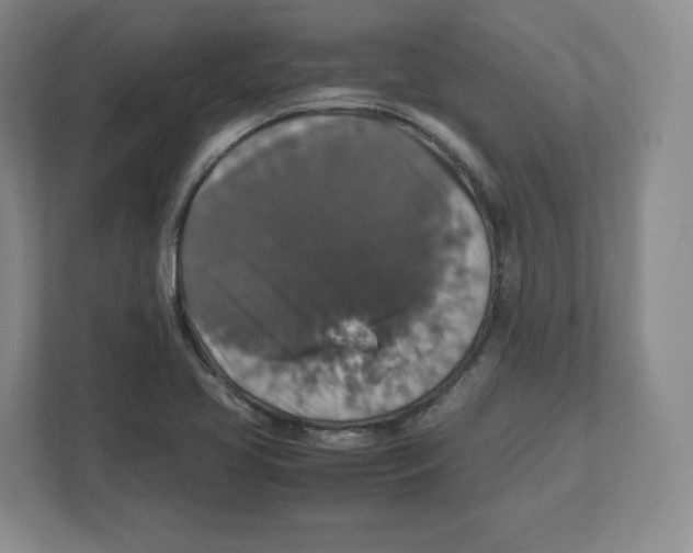 X0000112471413200909141109