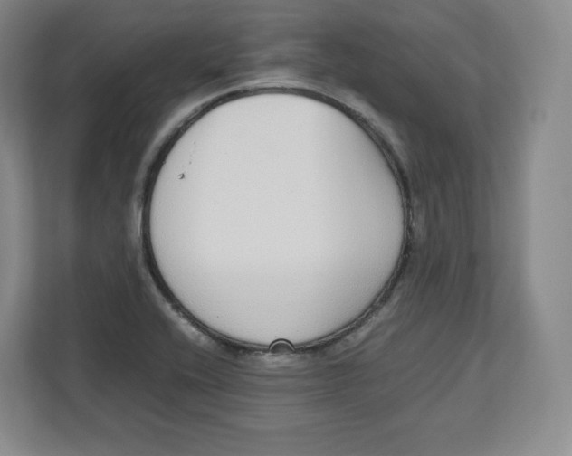 X0000112471416200909141109