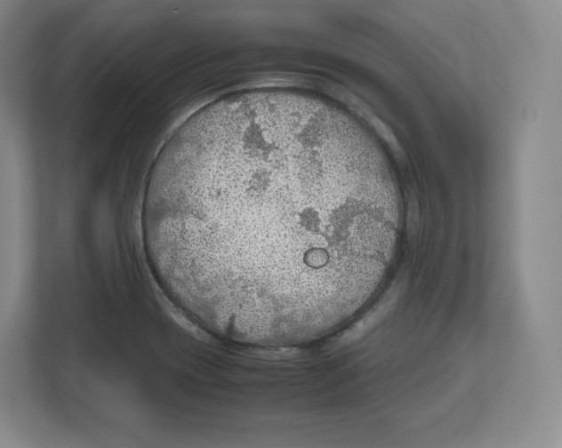 X0000112471417200909141109