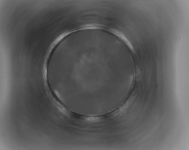 X0000112471419200909141109