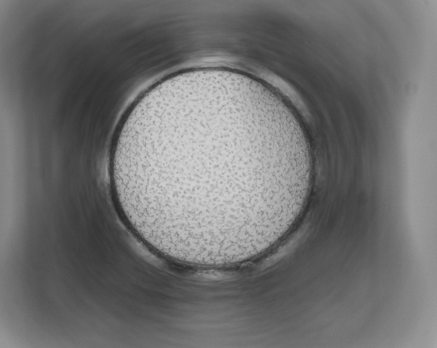 X0000112471420200909141109