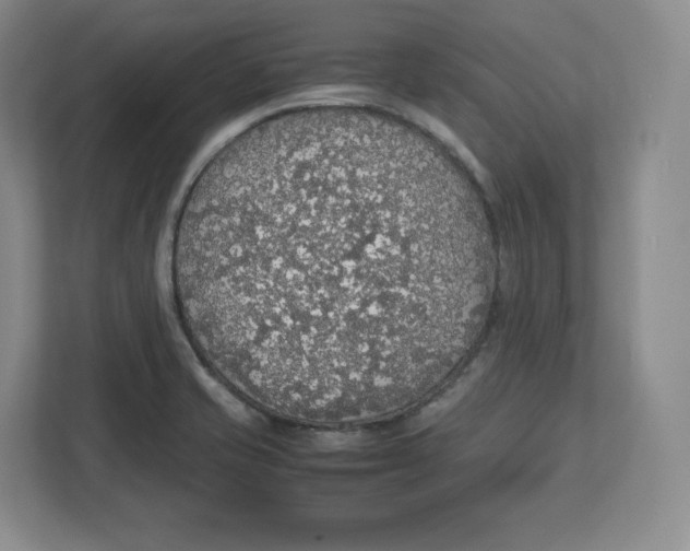 X0000112471421200909141109