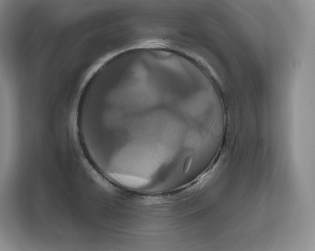 X0000112471422200909141109
