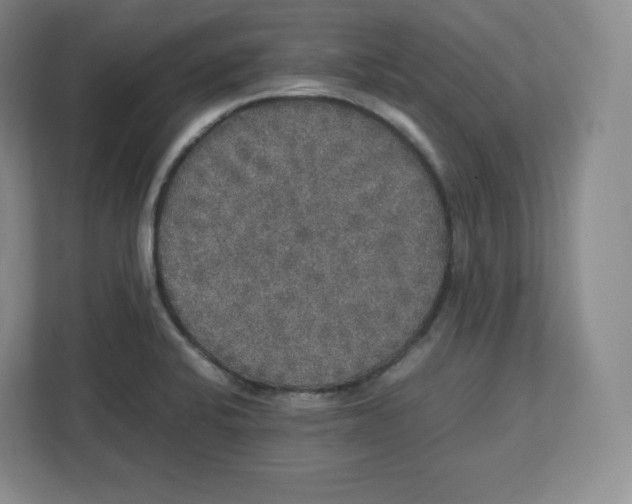 X0000112471424200909141109