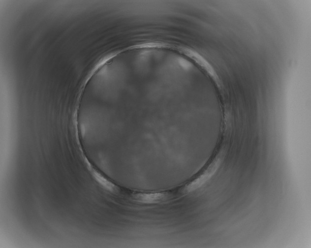 X0000112471425200909141109