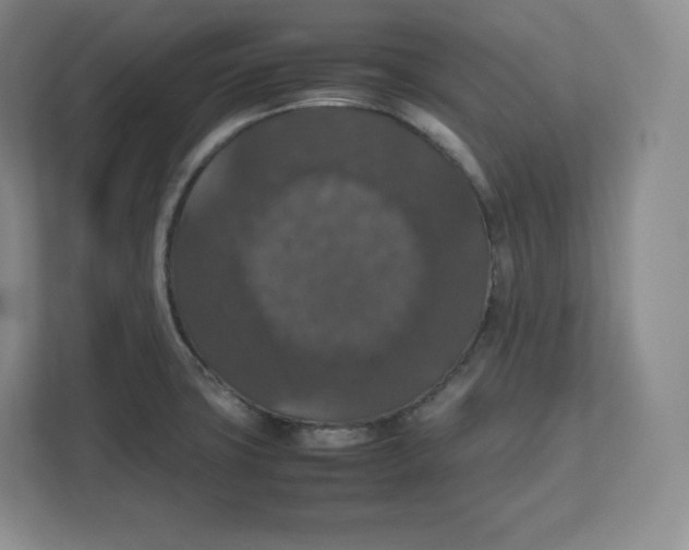 X0000112471427200909141109
