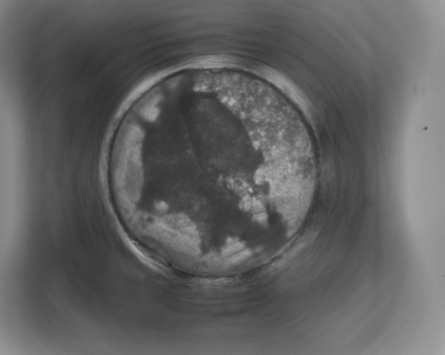 X0000112471429200909141109