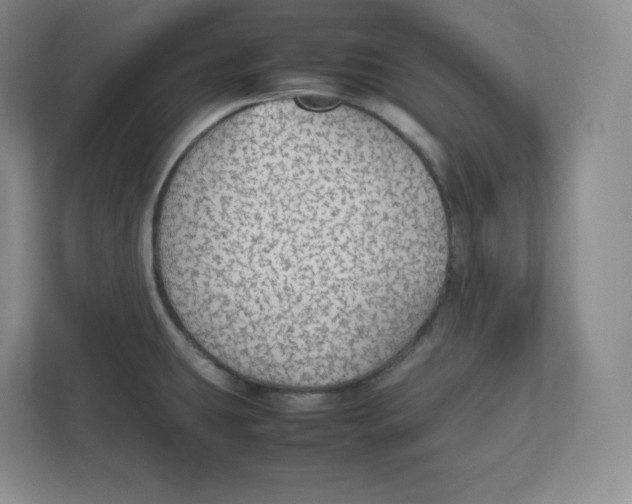 X0000112471431200909141109