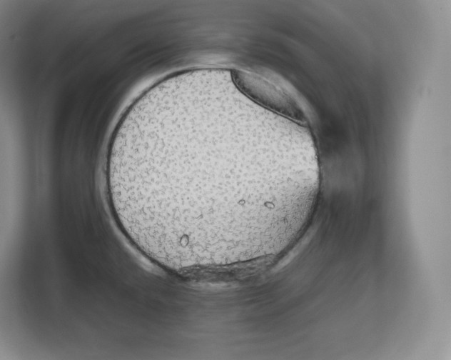 X0000112471432200909141109