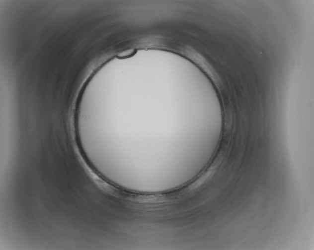 X0000112471434200909141109