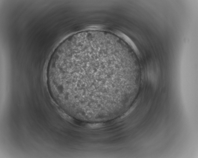 X0000112471435200909141109