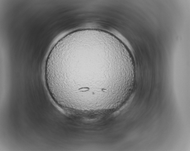 X0000112471437200909141109