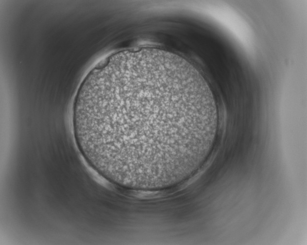 X0000112471439200909141109