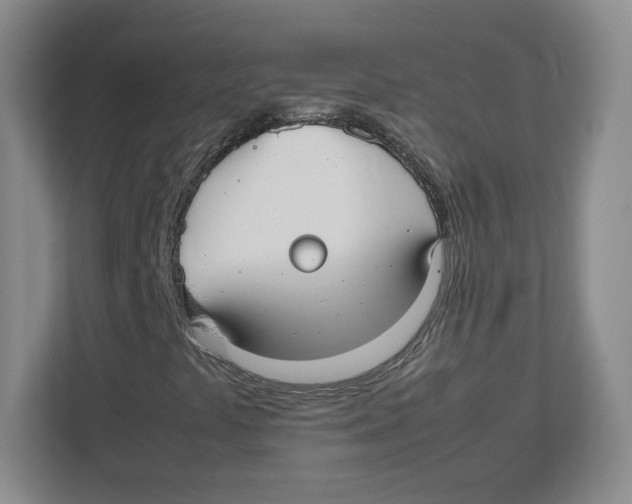 X0000112471441200909141109