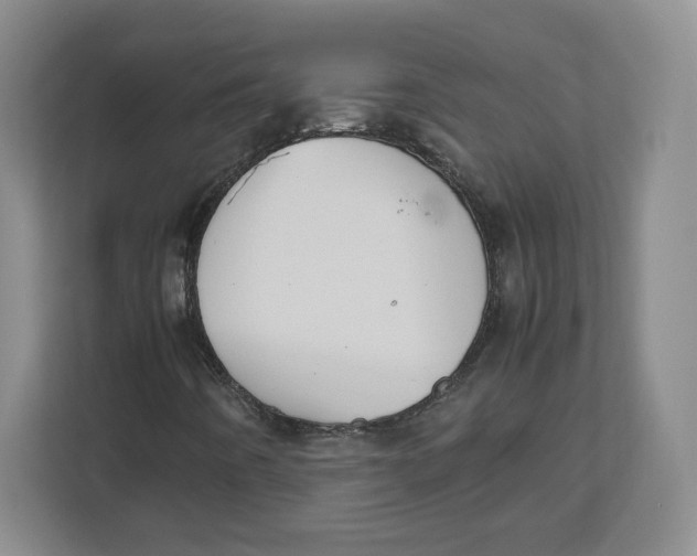 X0000112471442200909141109