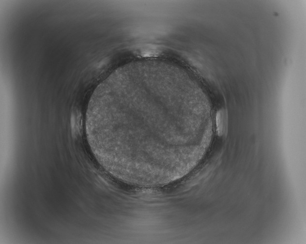 X0000112471443200909141109