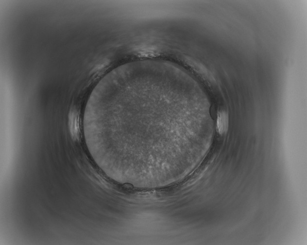 X0000112471444200909141109