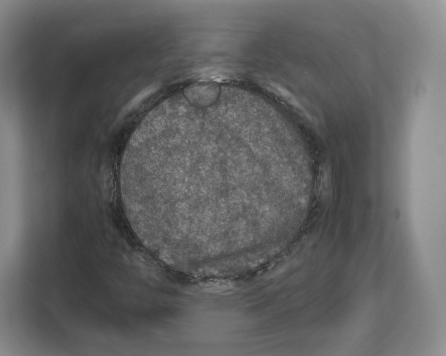 X0000112471446200909141109