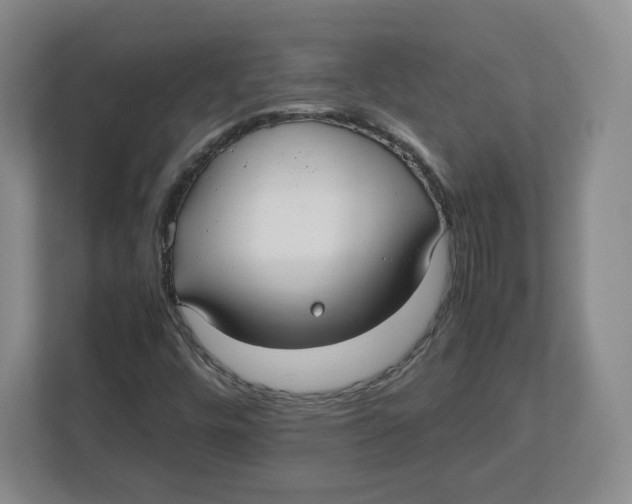 X0000112471448200909141109