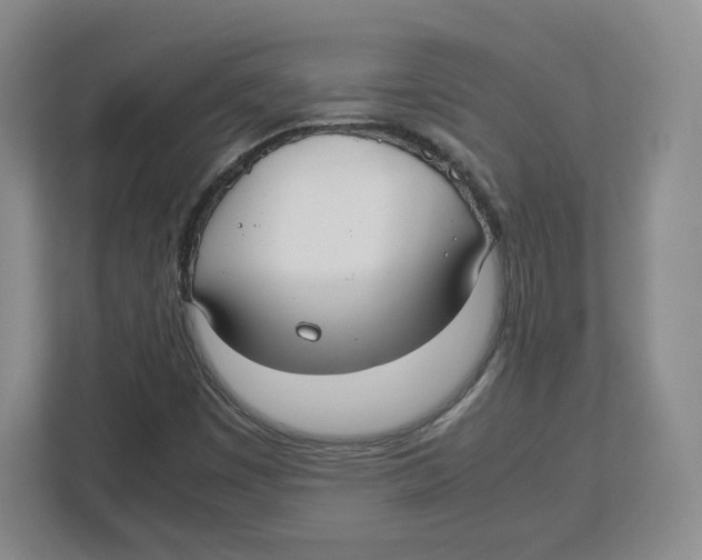 X0000112471449200909141109