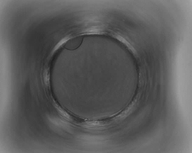 X0000112471450200909141109
