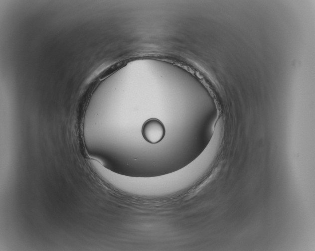 X0000112471453200909141109