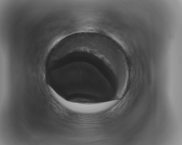 X0000112471455200909141109